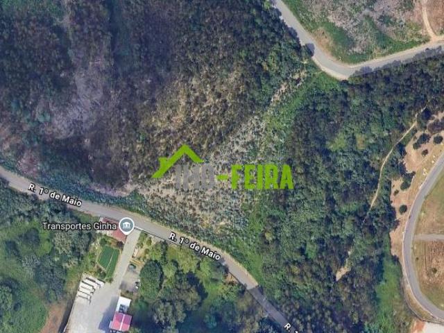 Terreno em Lourosa 8000m², Santa Maria da Feira