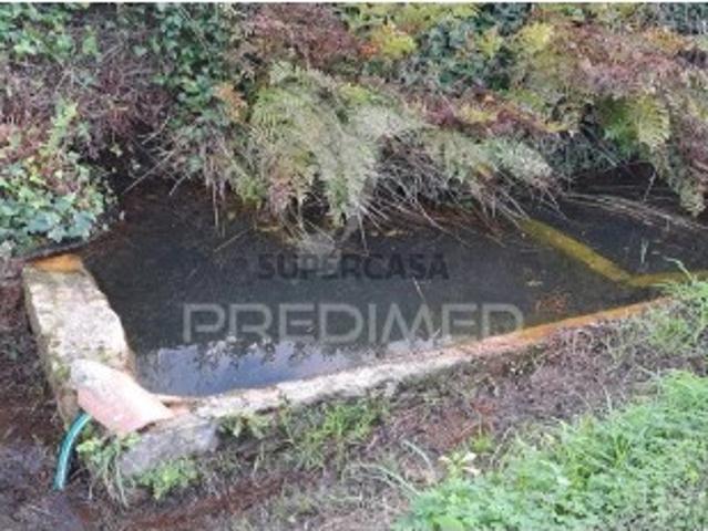 Terreno em Lousa