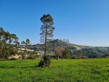 Terreno em Lousa