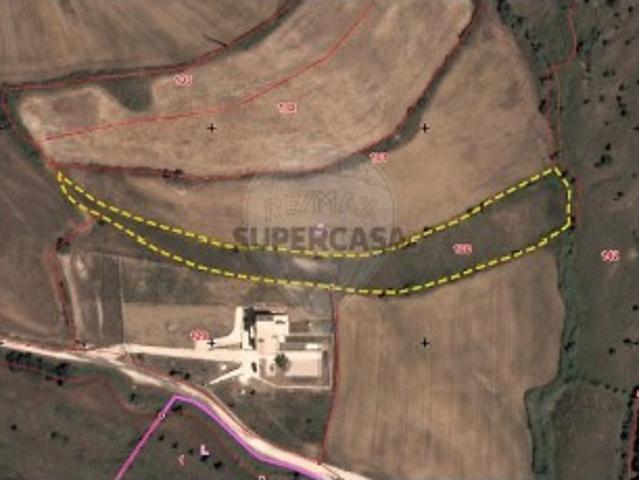 Terreno em Lousa