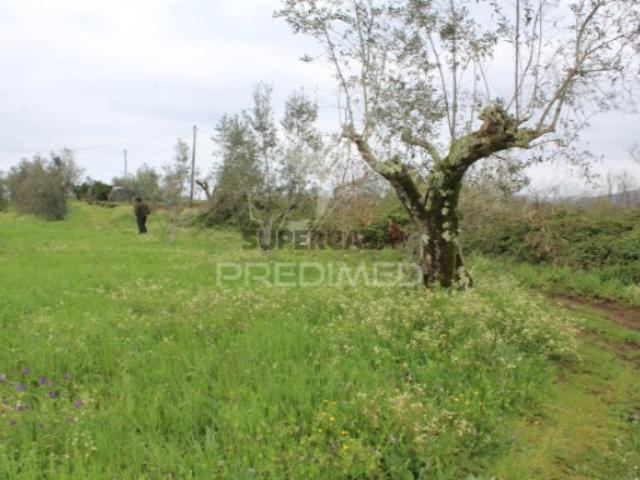 Terreno em Pussos São Pedro