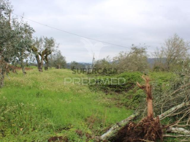 Terreno em Pussos São Pedro