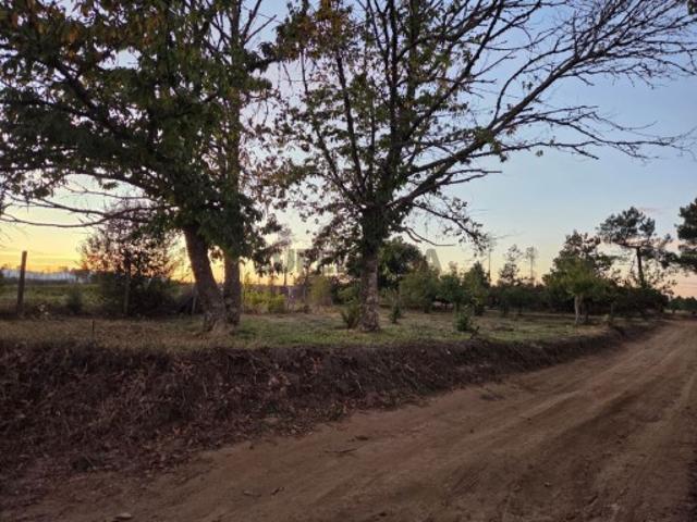 Terreno em Paços