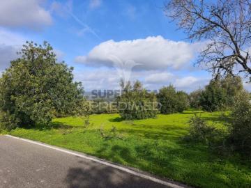 Almeijoafras, Paderne, Albufeira, Albufeira, Distrito de Faro, Algarve