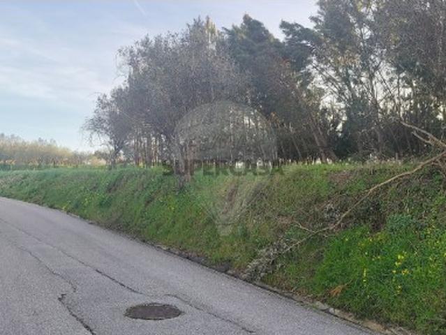 Terreno em Paião
