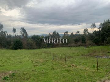 Terreno em Palmeira a 10 min do centro de Famalicão