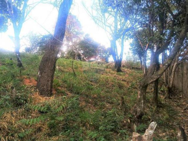 Terreno em Palmeiras, Belo Horizonte/MG de 5637m² 1 quartos à venda por R$ 5.000.000,00