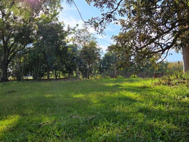 Terreno em Palmeiras, Estiva Gerbi/SP de 1000m² à venda por R$ 85.000,00