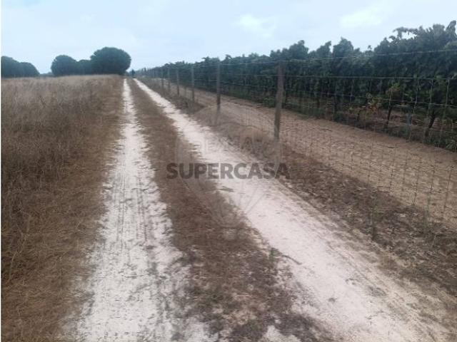 Terreno em Palmela