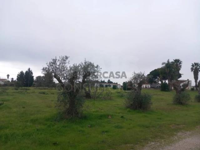 Terreno em Palmela