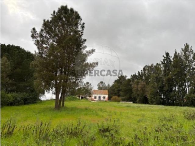 Terreno em Palmela