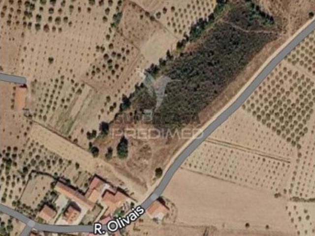 Terreno em Passos