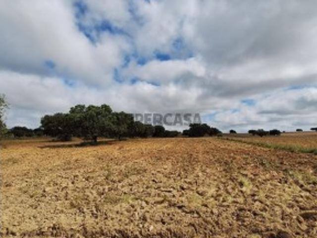 Terreno em Paranhos