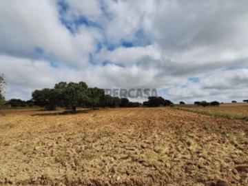 Terreno em Paranhos