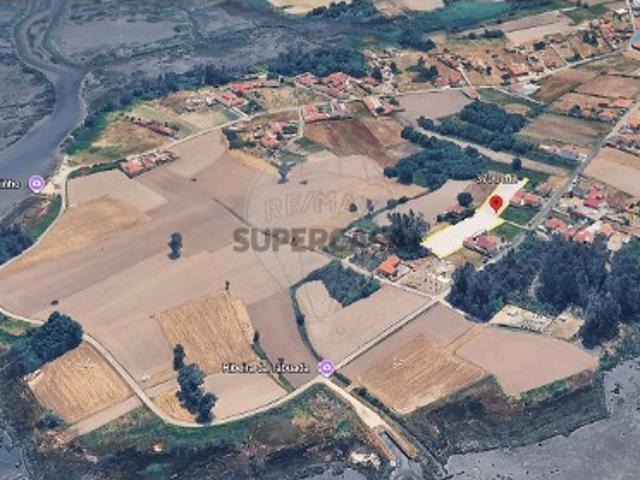 Terreno em Pardilhó