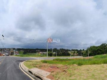 Terreno em Parque Alexandre, Cotia/SP de 233m² à venda por R$ 300.000,00