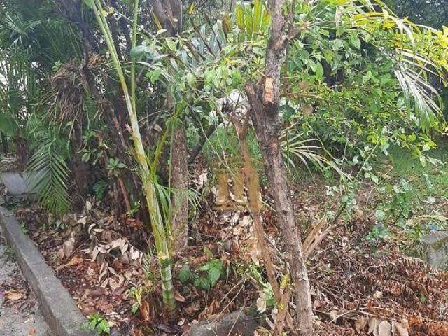 Terreno em Parque Industrial, São José dos Campos/SP de 0m² à venda por R$ 800.000,00