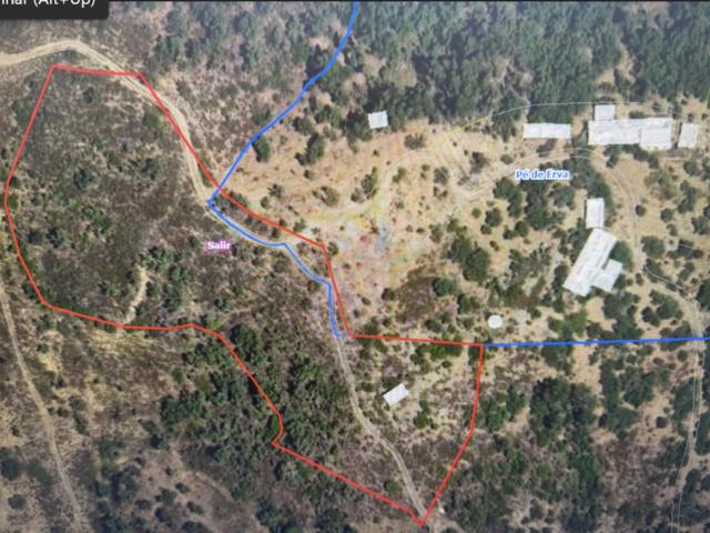Terreno de 11360m2 em Pé de Erva, com Potencial de Construção, a 10 min de Salir, Loulé, Algarve