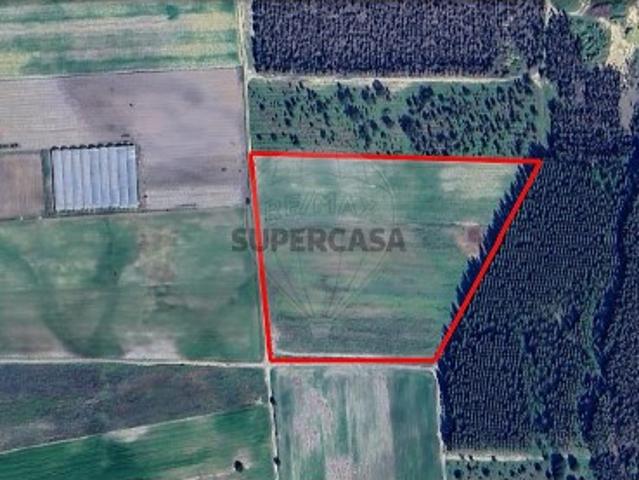 Terreno em Pegões