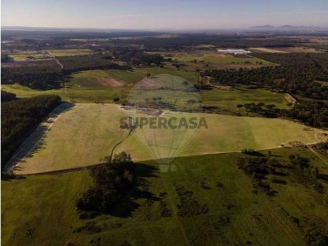 Terreno em Pegões