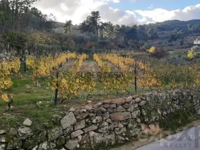 Terreno em Pegarinhos