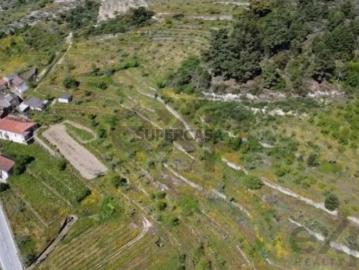 Terreno em Pegarinhos