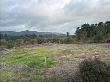 Terreno em Pedraça
