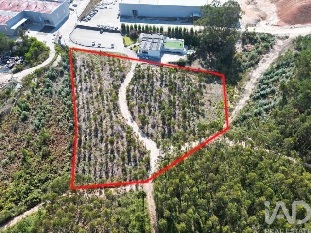 Terreno em Pedreiras