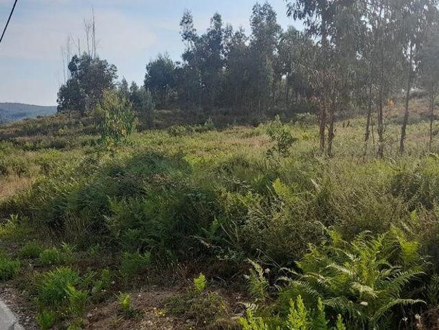 Terreno em Pedrógão Grande de 5700,00 m²