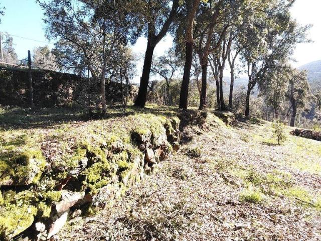 Terreno em Pedrógão Pequeno