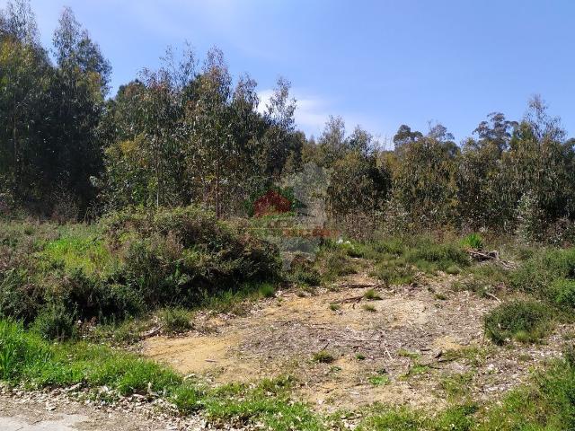 Terreno em Pedrógão Pequeno