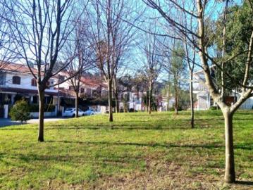 Terreno em Pedroso
