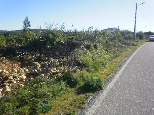Terreno em Penela com Viabilidade de Construção