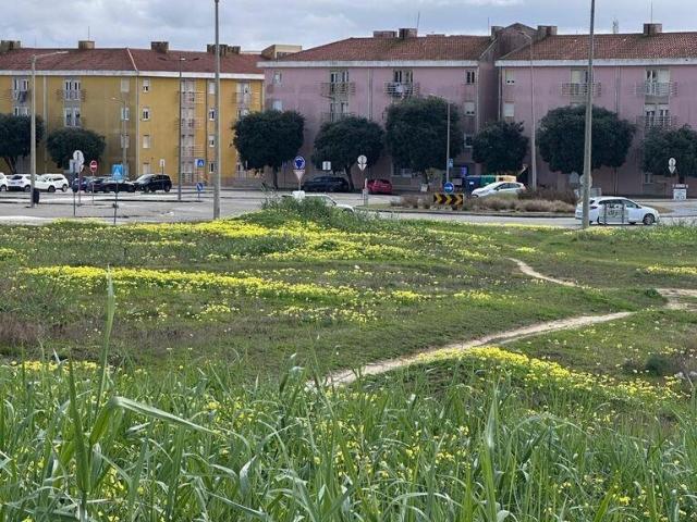 Terreno em Peniche
