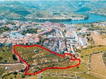 Terreno em Peso da Régua e Godim