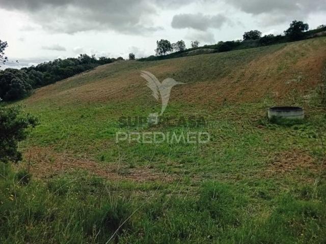 Terreno em Pernes