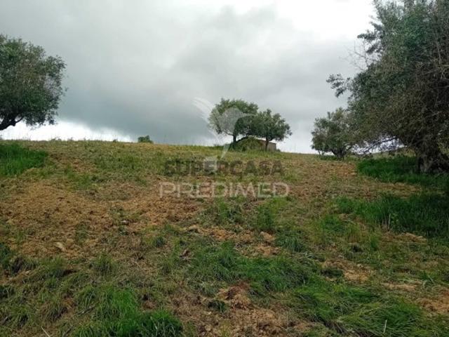 Terreno em Pernes