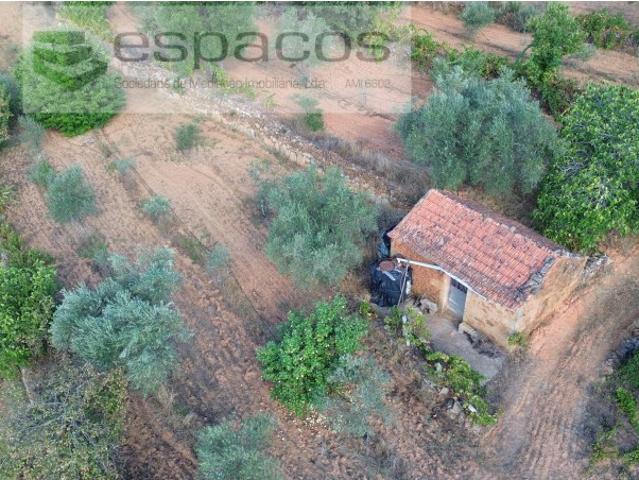 Terreno em Pêro Viseu com grande potêncial