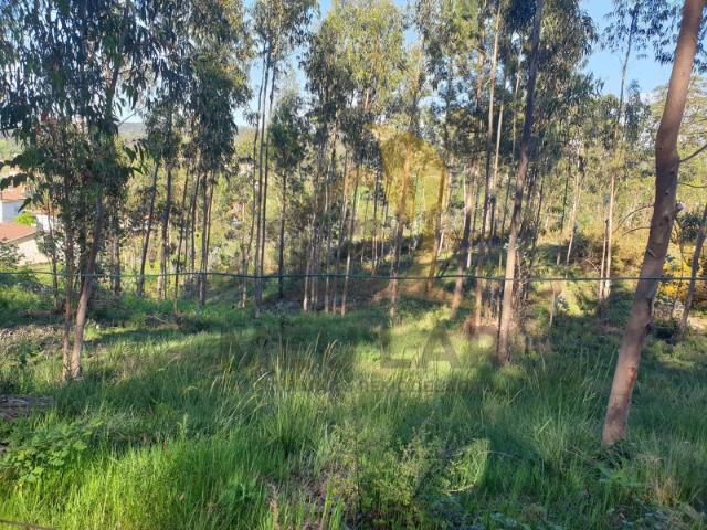 Terreno em Pigeiros