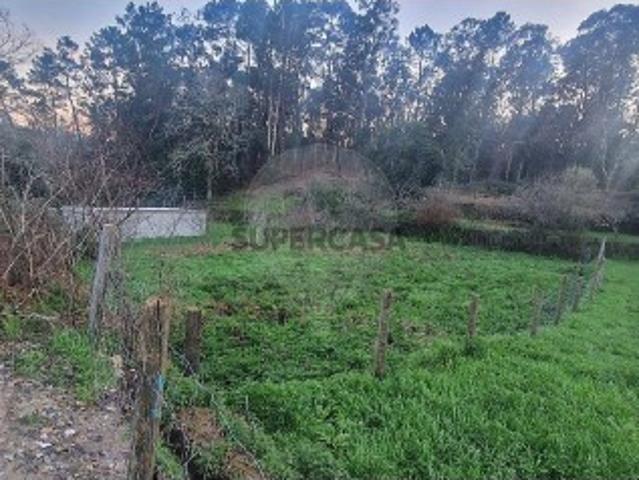 Terreno em Pindelo