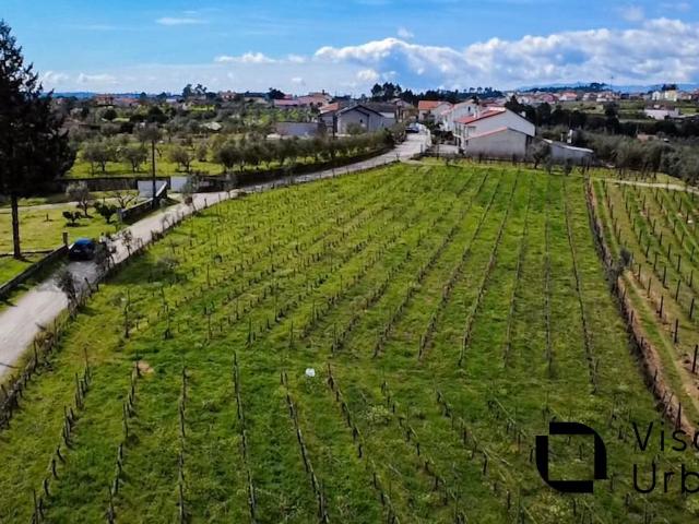 Terreno em Pindelo de Silgueiros para construção em zona de habitação dispersa