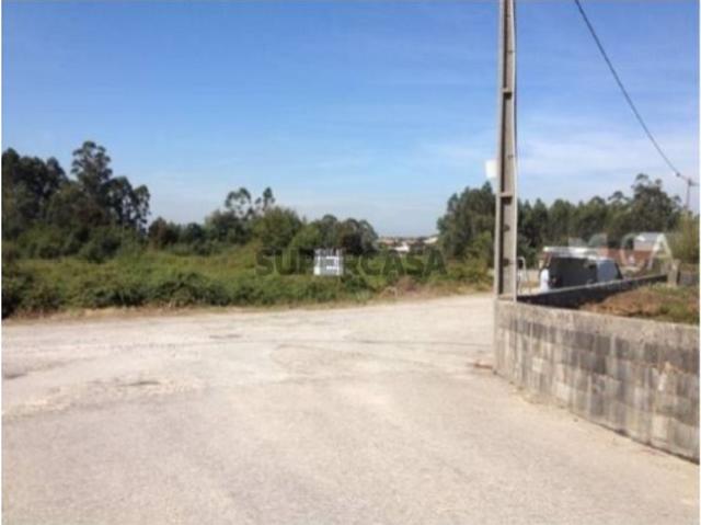 Terreno em Pinheiro da Bemposta, Travanca e Palmaz