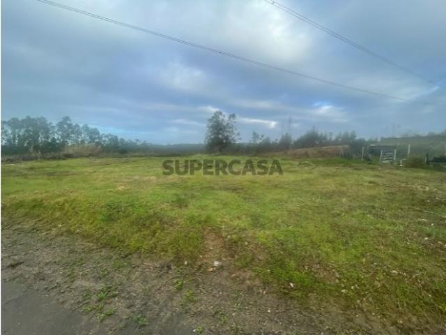 Terreno em Pinheiro da Bemposta, Travanca e Palmaz