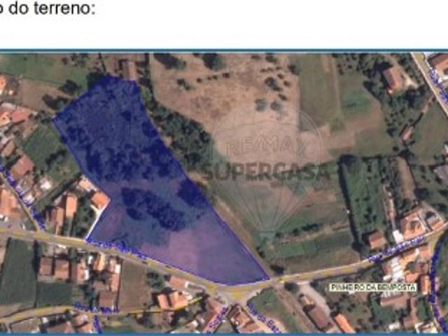 Terreno em Pinheiro da Bemposta, Travanca e Palmaz