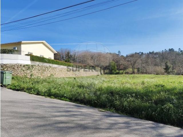 Terreno em Pinheiro da Bemposta, Travanca e Palmaz
