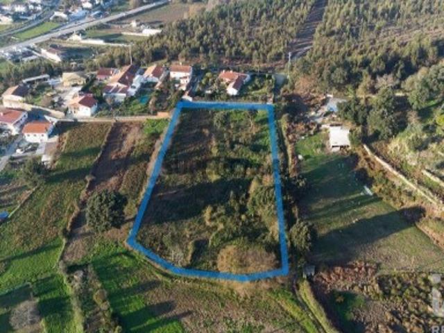 Terreno em Pinheiro da Bemposta, Travanca e Palmaz