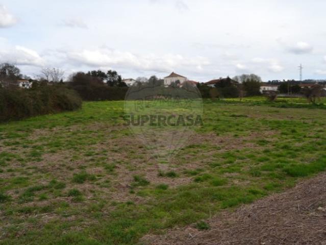 Terreno em Pinheiro da Bemposta, Travanca e Palmaz