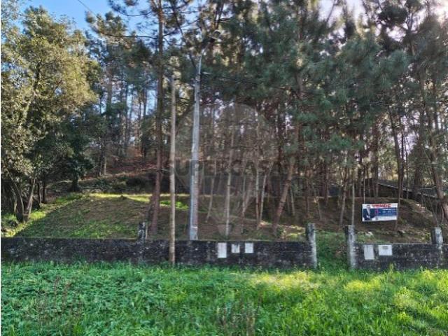 Terreno em Pinheiro da Bemposta, Travanca e Palmaz