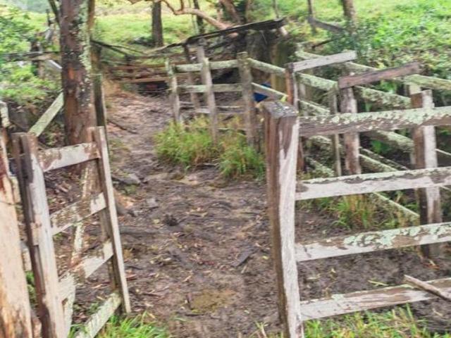 TERRENO EM PIRACEMA MG COM ÁGUA, 3 HECTARES FORMADO E ESCRITURADO