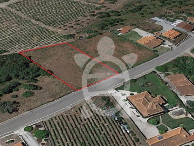 Terreno em Pocariça, Cantanhede
